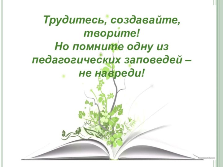 Трудитесь, создавайте, творите!  Но помните одну из педагогических заповедей –  не навреди!