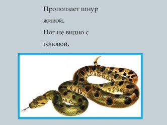 Автоматизация звука Ш в словах, предложениях. презентация к уроку по логопедии по теме