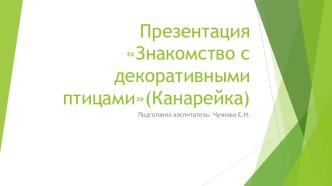 Занятие по экологии Знакомство с декоративными птицами (на примере канарейки) план-конспект занятия по окружающему миру (средняя группа)