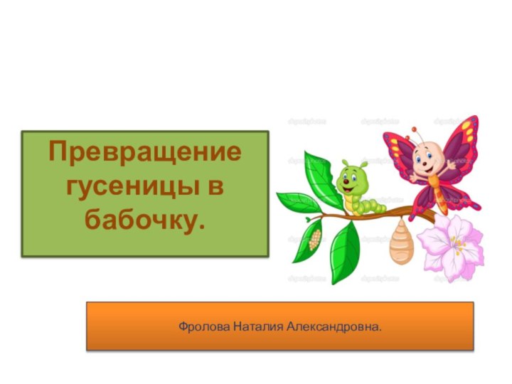 Превращение гусеницы в бабочку.Фролова Наталия Александровна.