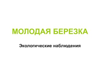 Молодая березка презентация к занятию (окружающий мир, подготовительная группа)