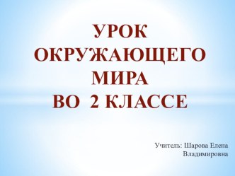 Урок - проект Красная книга план-конспект урока по окружающему миру (2 класс)