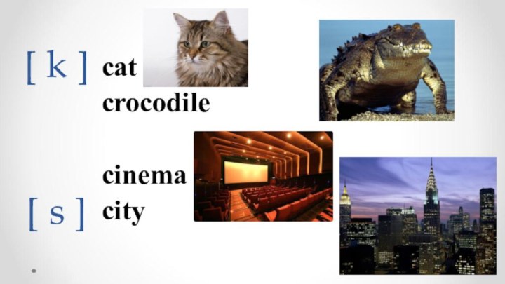 [ k ]   [ s ]catcrocodilecinemacity