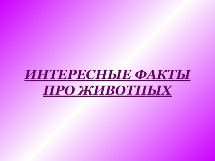 ИНТЕРЕСНЫЕ ФАКТЫ  ПРО ЖИВОТНЫХ