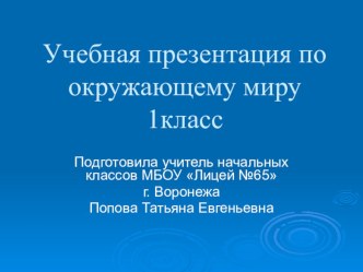 Презентация по окружающему миру для 3 класса Свойства снега и льда презентация к уроку по окружающему миру (3 класс)