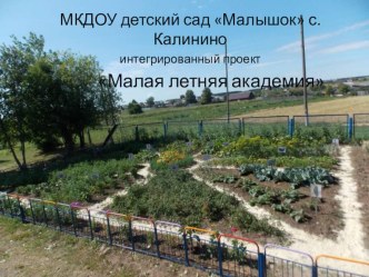 Презентация Малая летняя академия презентация к уроку