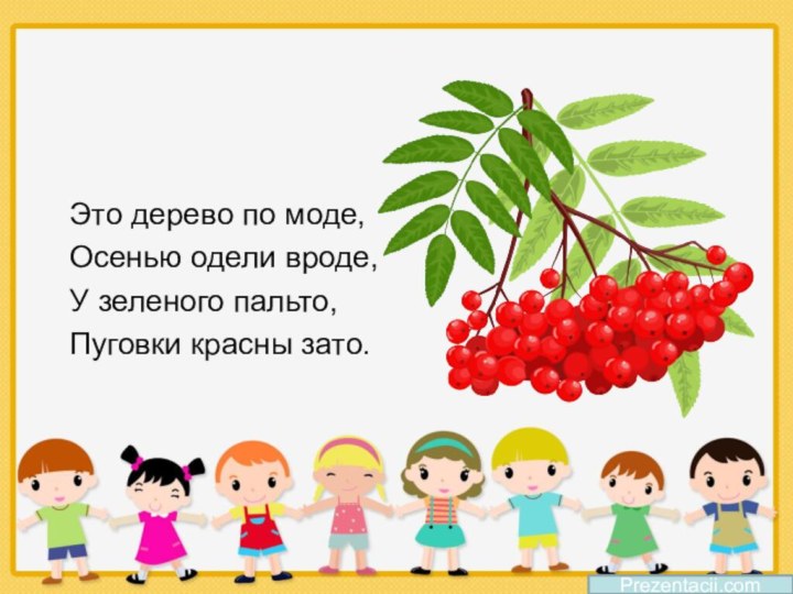 Prezentacii.comЭто дерево по моде,Осенью одели вроде,У зеленого пальто,Пуговки красны зато.