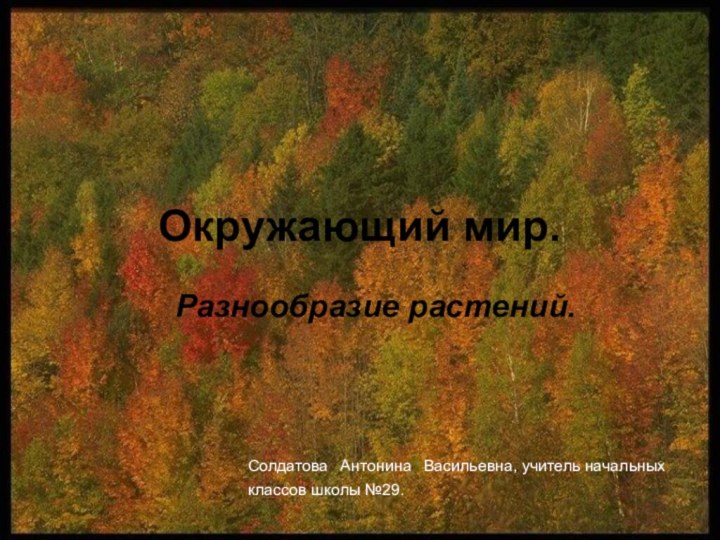 Окружающий мир. Разнообразие растений.Солдатова Антонина Васильевна, учитель начальных классов школы №29.