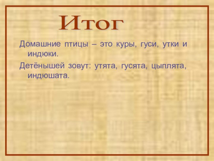 Домашние птицы – это куры, гуси, утки и индюки.Детёнышей зовут: утята, гусята, цыплята, индюшата.Итог