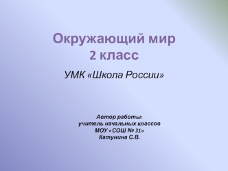 Тест по окружающему миру Как нужно купаться 2 класс тест по окружающему миру (2 класс)