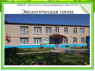 Экологическая тропинка в нашем детском саду консультация