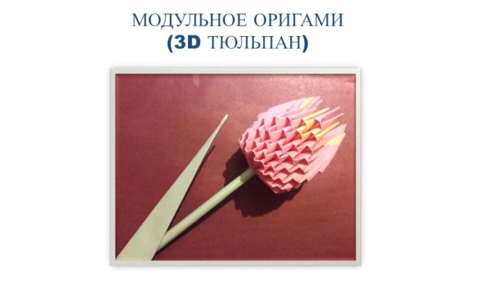 МОДУЛЬНОЕ ОРИГАМИ(3D ТЮЛЬПАН)