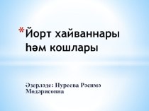 презентация:Йорт хайваннары һәм кошлары презентация к занятию (окружающий мир, средняя группа) по теме