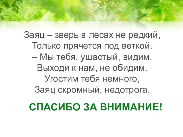 Спасибо за внимание! Заяц – зверь в лесах не редкий, Только прячется