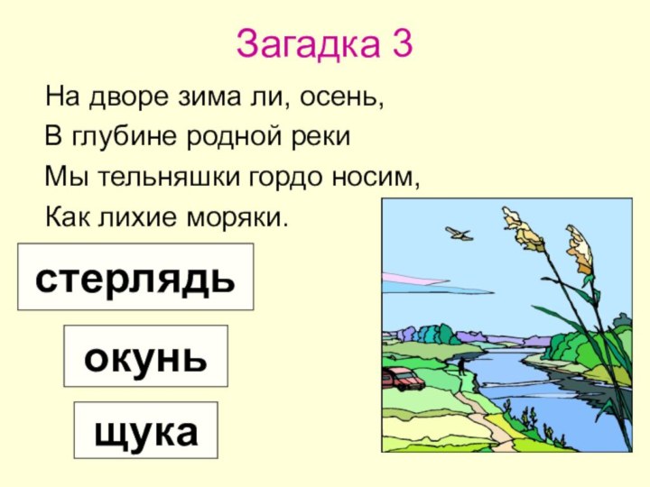 Загадка 3На дворе зима ли, осень,В глубине родной рекиМы тельняшки гордо носим,Как лихие моряки.щукаокуньстерлядь