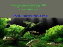 Презентация Рыбы нашей местности презентация урока для интерактивной доски по окружающему миру (подготовительная группа) по теме