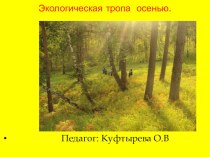 презентация Осень в лесу презентация к уроку по окружающему миру (старшая группа)