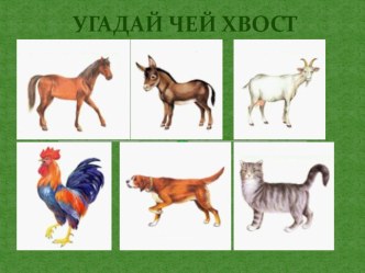 Угадай чей хвост? учебно-методическое пособие по окружающему миру по теме