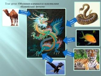 презентация заключительной части урока Китайский дракон