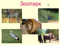 Зоопарк план-конспект урока по окружающему миру (1 класс) по теме