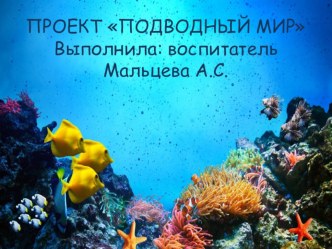 Проект Подводный мир презентация к уроку по окружающему миру (подготовительная группа)