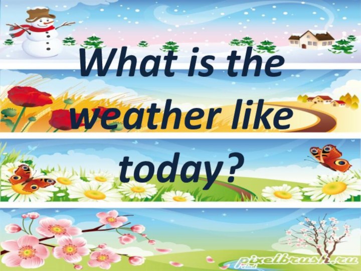 What is the weather like today?