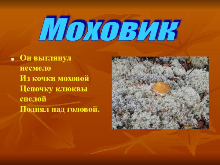 Он выглянул несмело Из кочки моховой Цепочку клюквы спелой Поднял над головой.Моховик