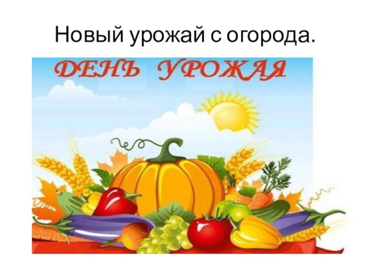 Новый урожай с огорода.