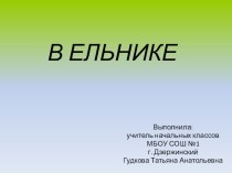 В ельнике (2 класс) план-конспект урока по окружающему миру (2 класс) по теме