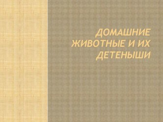 Презентация Домашние животные и их детеныши презентация к уроку (старшая группа)