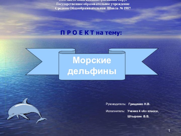 Юго-Восточный административный округ Государственное образовательное учреждение Средняя Общеобразовательная Школа № 1987