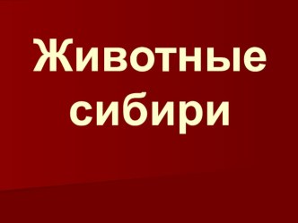 Презентация Животные Сибири презентация занятия для интерактивной доски по окружающему миру (старшая группа) по теме