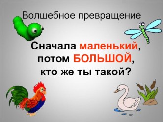 Волшебное превращение презентация к уроку по окружающему миру (младшая группа)