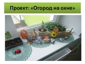 ПроектОгород на окне проект (средняя, старшая, подготовительная группа)