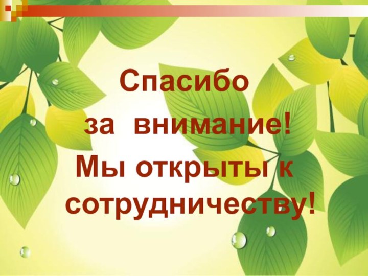 Спасибо за внимание!Мы открыты к сотрудничеству!