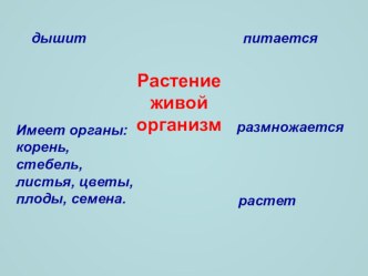 сопровождение урока окружающего мира по теме Лиственные и хвойные растения зимой презентация к уроку по окружающему миру (3 класс)