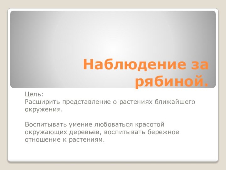 Наблюдение за рябиной.Цель:Расширить представление о растениях ближайшего окружения.Воспитывать умение любоваться красотой окружающих