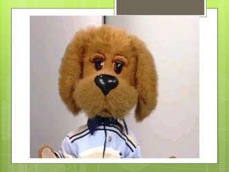 Презентация Питание презентация