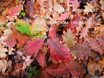 Как опадают листья? методическая разработка по русскому языку (2 класс) по теме