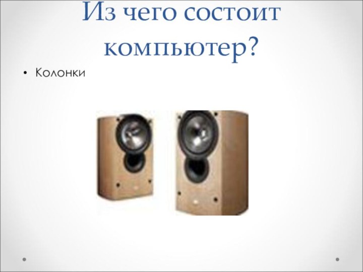 Из чего состоит компьютер?Колонки