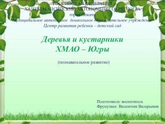 Деревья и кустарники ХМАО - Югры презентация к уроку по окружающему миру (средняя группа)