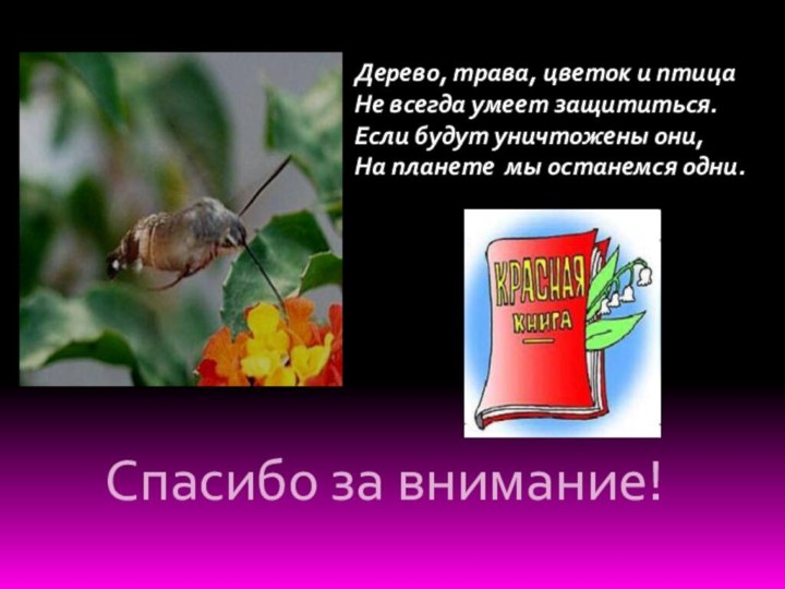 Спасибо за внимание!Дерево, трава, цветок и птицаНе всегда умеет защититься.Если