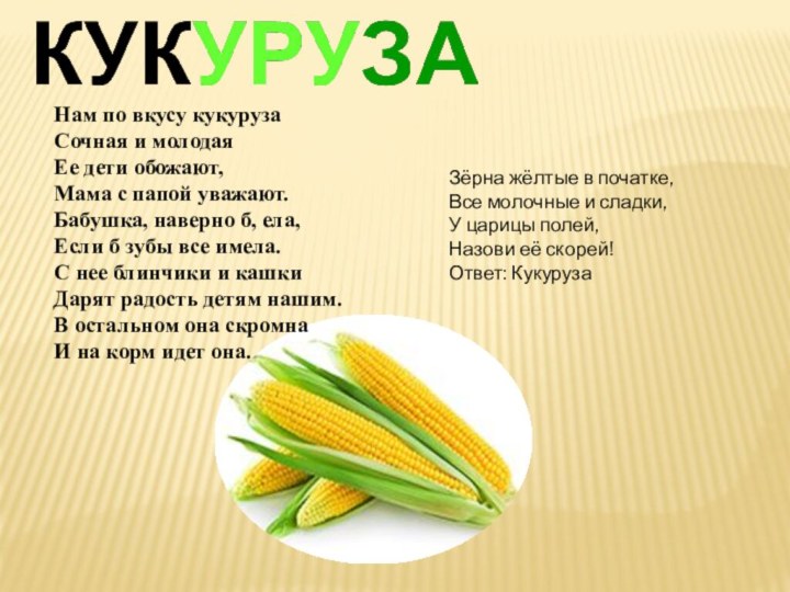 Нам по вкусу кукурузаСочная и молодаяЕе дети обожают,Мама с папой уважают.Бабушка, наверно