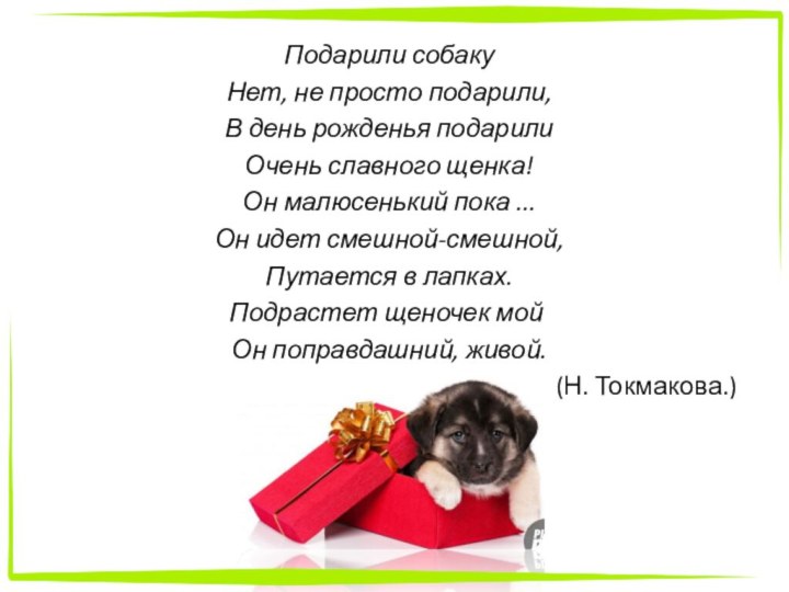 Подарили собакуНет, не просто подарили,В день рожденья подарилиОчень славного щенка!Он малюсенький пока