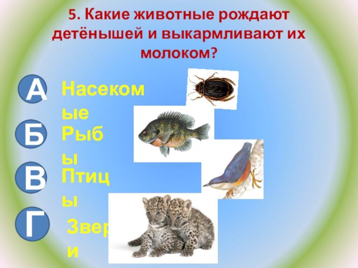 5. Какие животные рождают детёнышей и выкармливают их молоком?АБНасекомыеРыбыВГПтицыЗвери