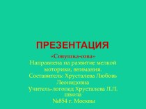 Презентация к уроку по изобразительной деятельности и логопедии. Сова презентация к уроку (1 класс)