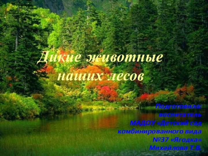 Дикие животные наших лесовПодготовила:  воспитатель  МАДОУ «Детский сад комбинированного вида №37 «Ягодка»Михайлова Т.В.