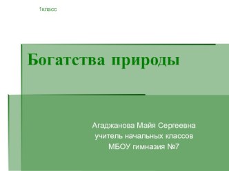 Богатства природы презентация к уроку по окружающему миру (1 класс)