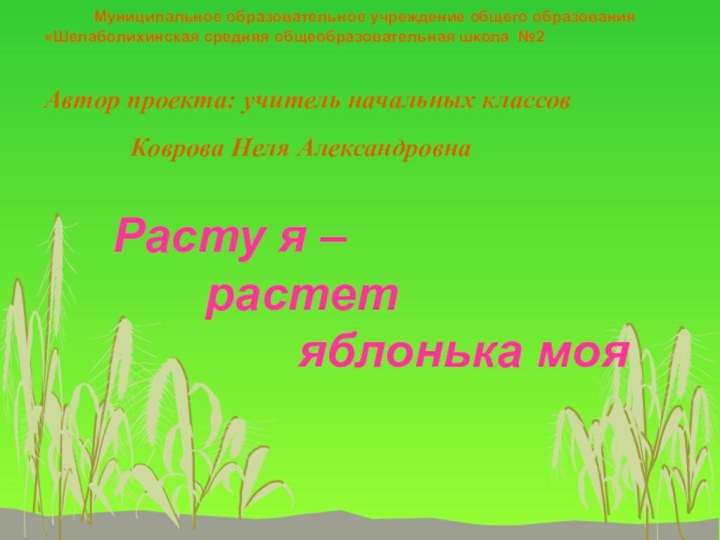 Муниципальное образовательное учреждение общего образования