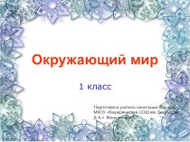 Презентация Где живут медведи? презентация к уроку по окружающему миру (1 класс)